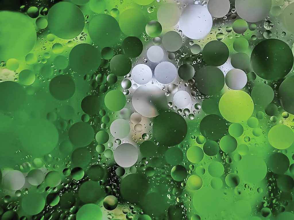 Oil Droplets Dispersed in Water