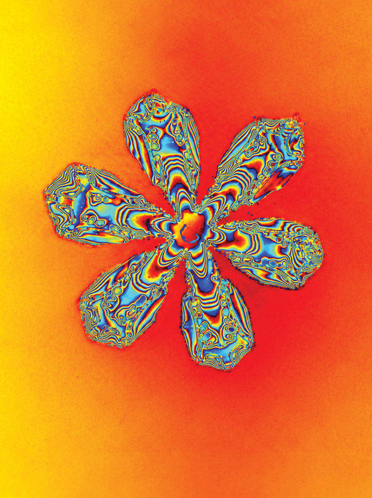 A Melting Snowflake thumbnail