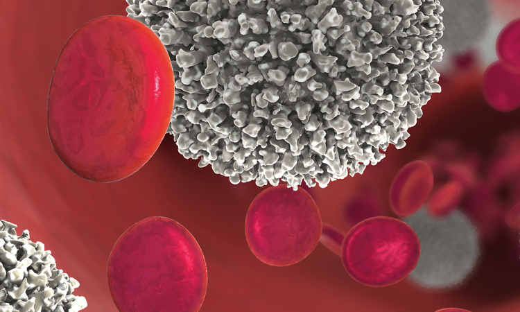 Hyperspectral Imaging Meets Biomedicine