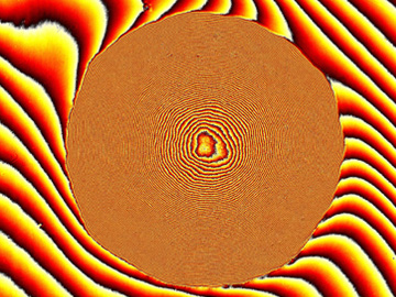 Phase Image of Bacterial Colony