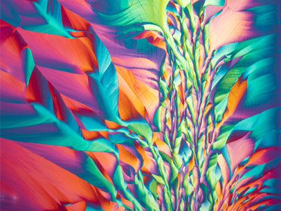 A plant-like formation