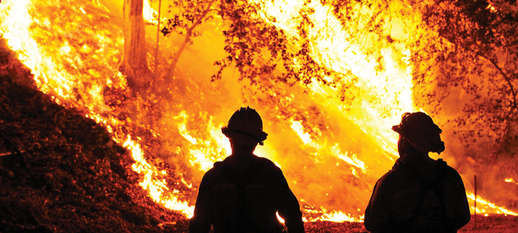 Illuminating Wildfire Risk