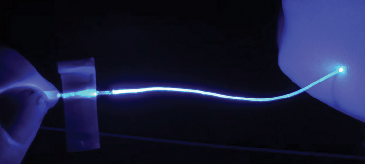 Hydrogel Optical Fibers