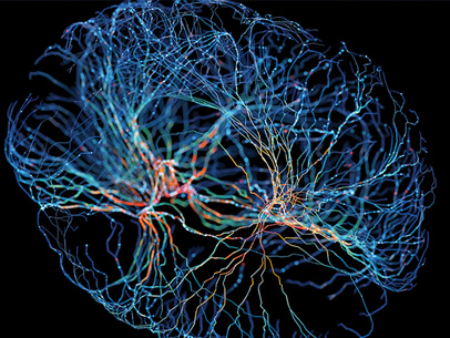 Research and Industry News