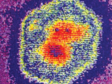 A close up of a human man's face