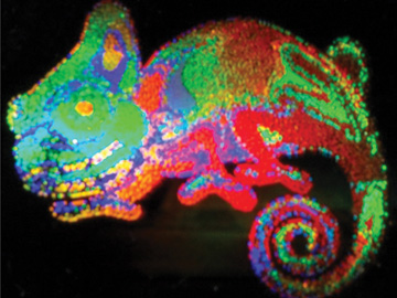 30, 20, and 10 Years Ago in OPN