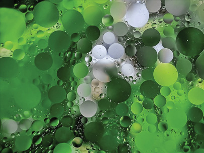 Oil Droplets Dispersed in Water