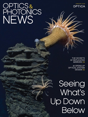 A sea anemone, with smaller sponge and sea star, on a lava pillar ~2.5 km below the sea surface.