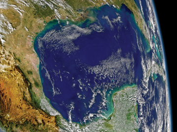 30, 20, and 10 Years Ago in OPN