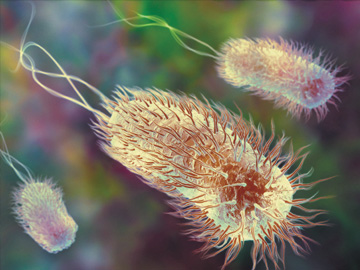 30, 20, and 10 Years Ago in OPN