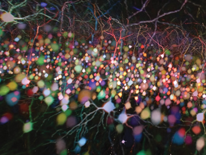 Multiphoton Microscopy Goes Deeper