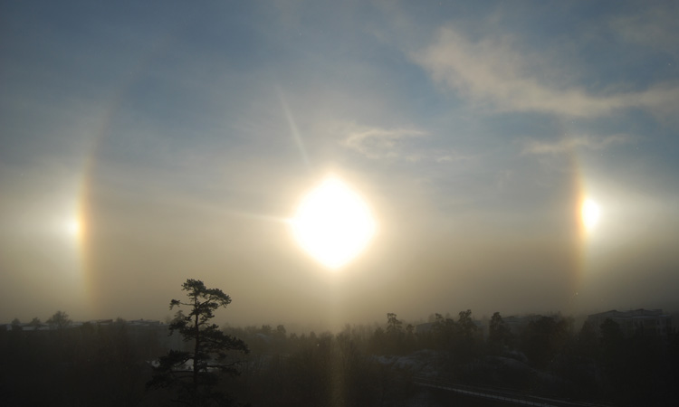 Sundogs over forest