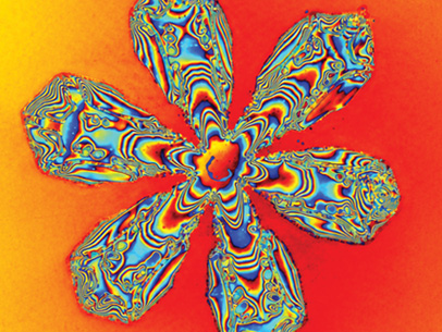 Melting snowflake as a quantitative phase map