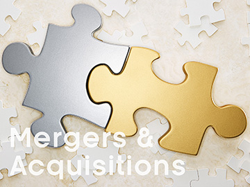 jigsaw puzzle pieces