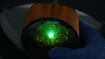 OLED light bulb illuminating a transparent brain phantom