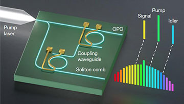 Schematic of the photonic integrated chip