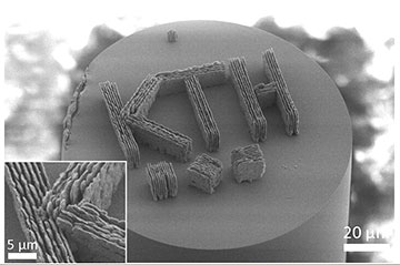 Microscopic image on tip of optical fiber
