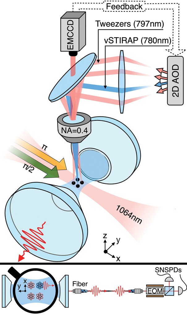 Optical Register Window Optics & Photonics News - Optical Tweezers Line Up a “Quantum Register”