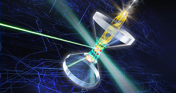 Optics Photonics News Optical Tweezers Enable Fast Accurate Cell