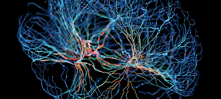 Optical Brain-Wave Imaging