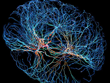 Optical Brain-Wave Imaging