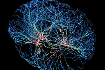 Render of brain waves