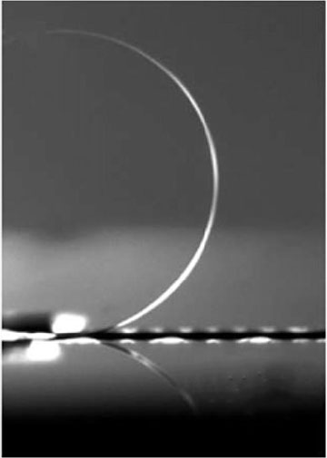 Black and white image of an ultrathin glass bar
