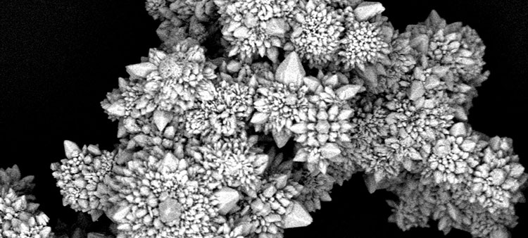 Powered by Light, Micromotors Can Fly