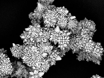 Powered by Light, Micromotors Can Fly