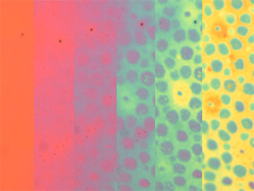 Photonic Camouflage, Like an Octopus