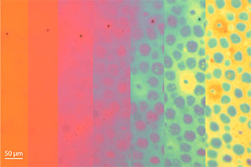 Rainbow array of colors