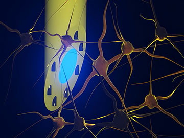 Improving Optical-Fiber Brain Probes