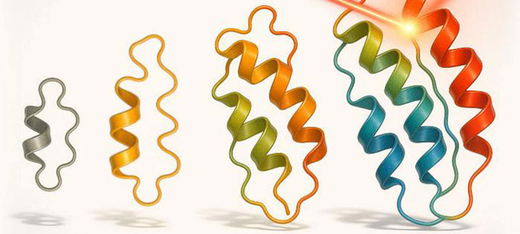 Light-Directed Evolution of More Complex Proteins