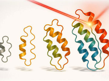 Light-Directed Evolution of More Complex Proteins