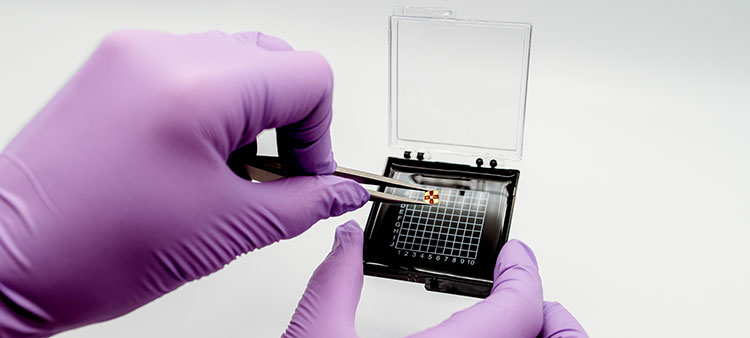 Infrared Sensor Reveals Hidden Particulates