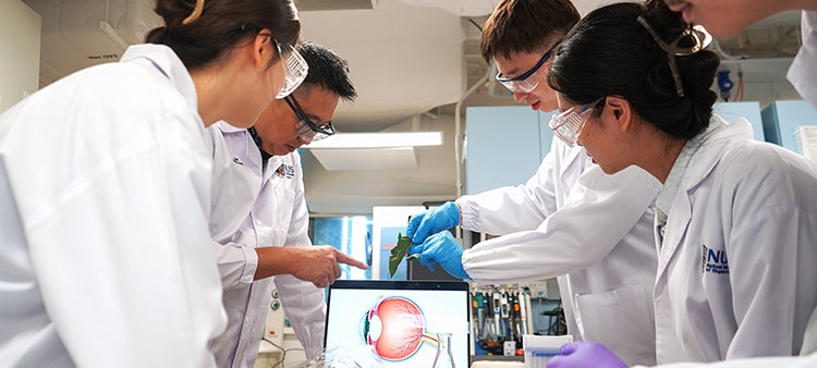 Transplanting Photosynthetic Machinery into the Eye