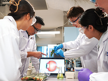 Transplanting Photosynthetic Machinery into the Eye