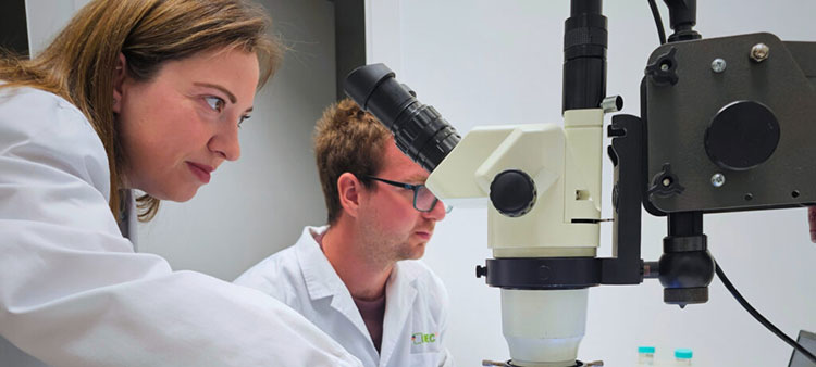 Light-Activated Drugs Promise to Restore Sight