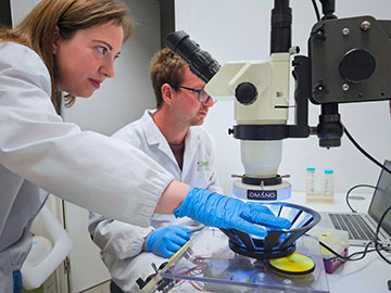 Researchers in lab