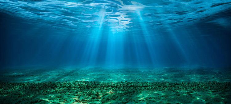 Perovskite Powers Underwater Photovoltaics