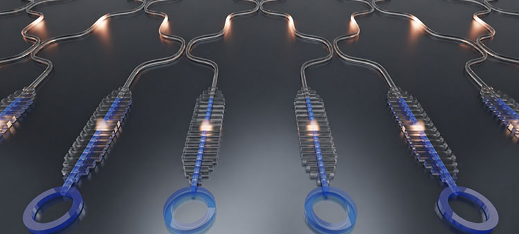Fishbone Cavity Provides the Hook for Heterogeneous Integration