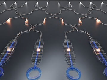 Fishbone Cavity Provides the Hook for Heterogeneous Integration