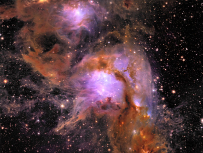 Euclid's Messier 78 