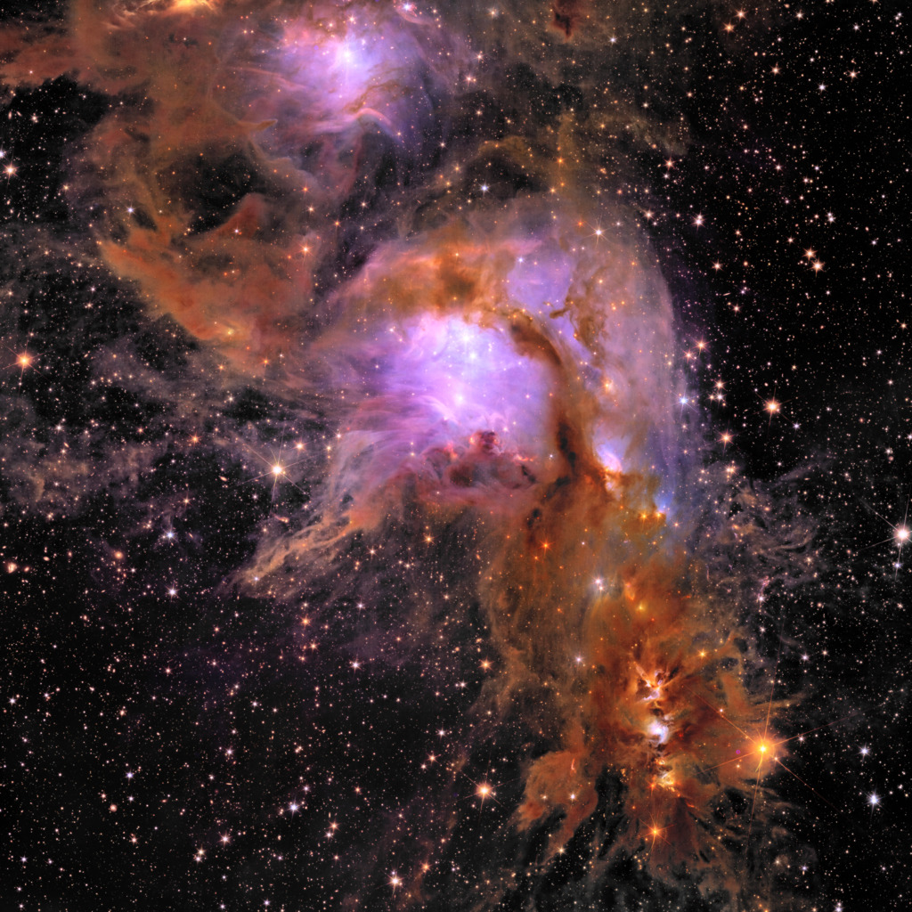 Euclid's Messier 78 