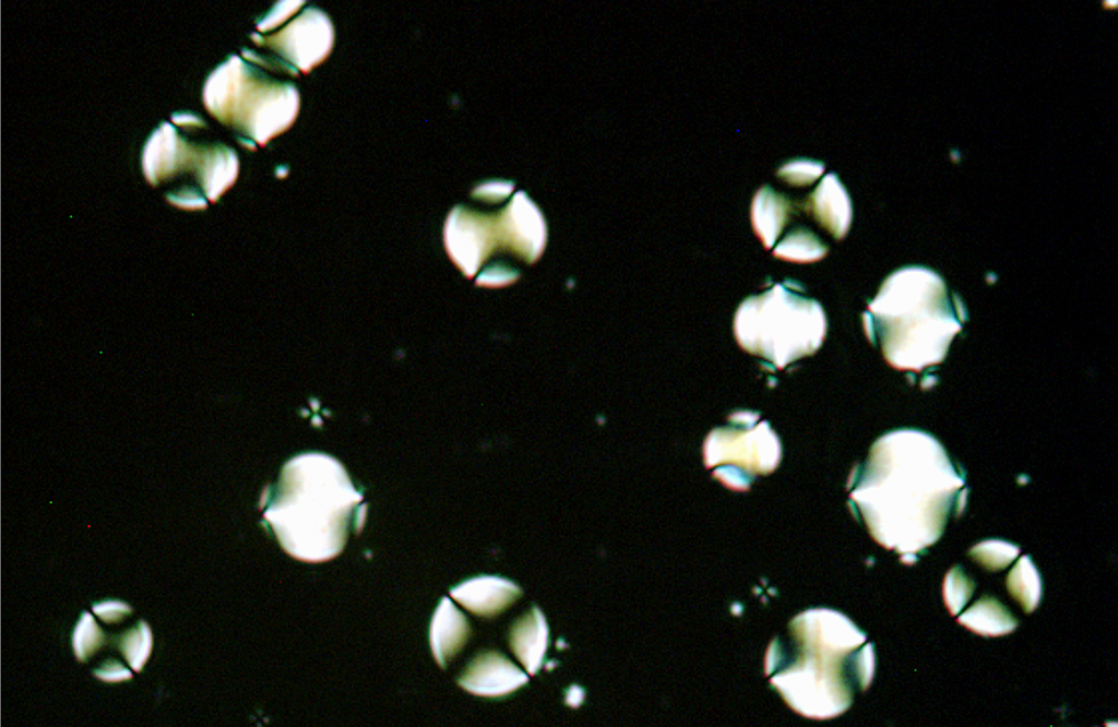 Liquid Crystal Droplets thumbnail