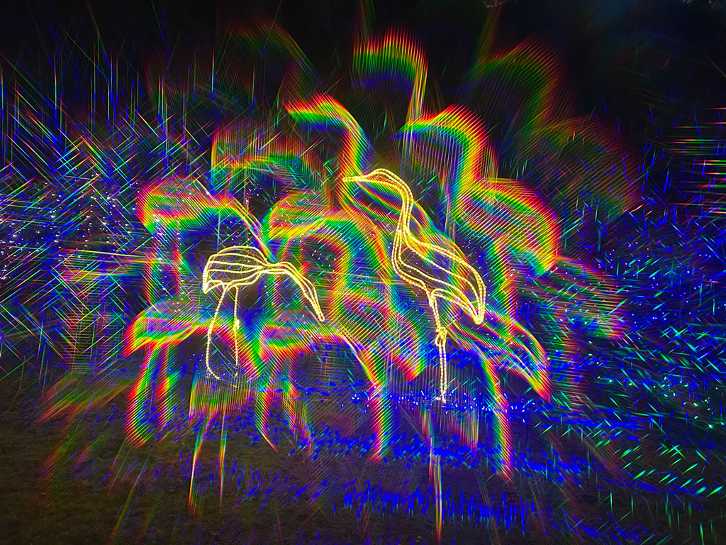 Spectral Wonderland 