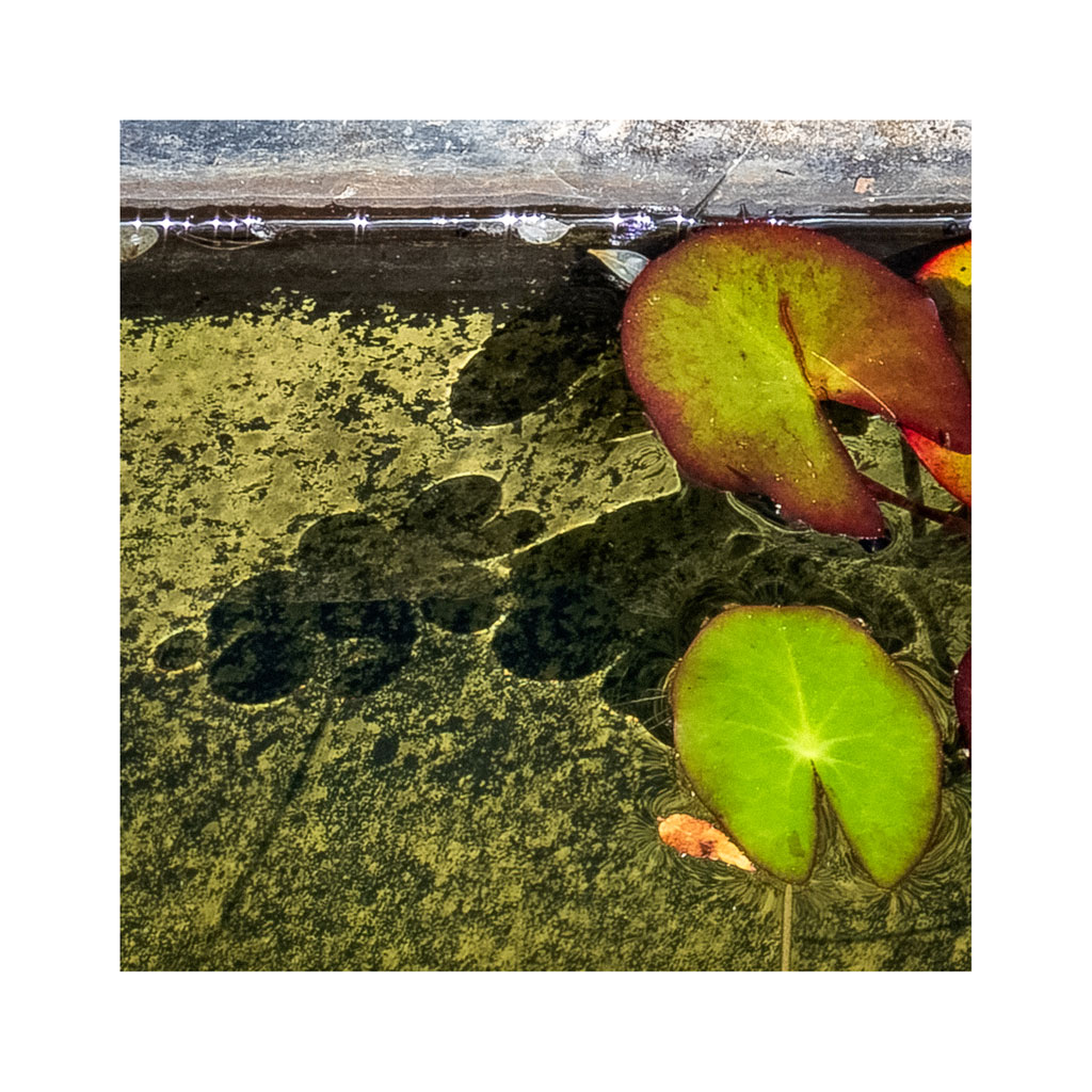 Underwater Shadows thumbnail