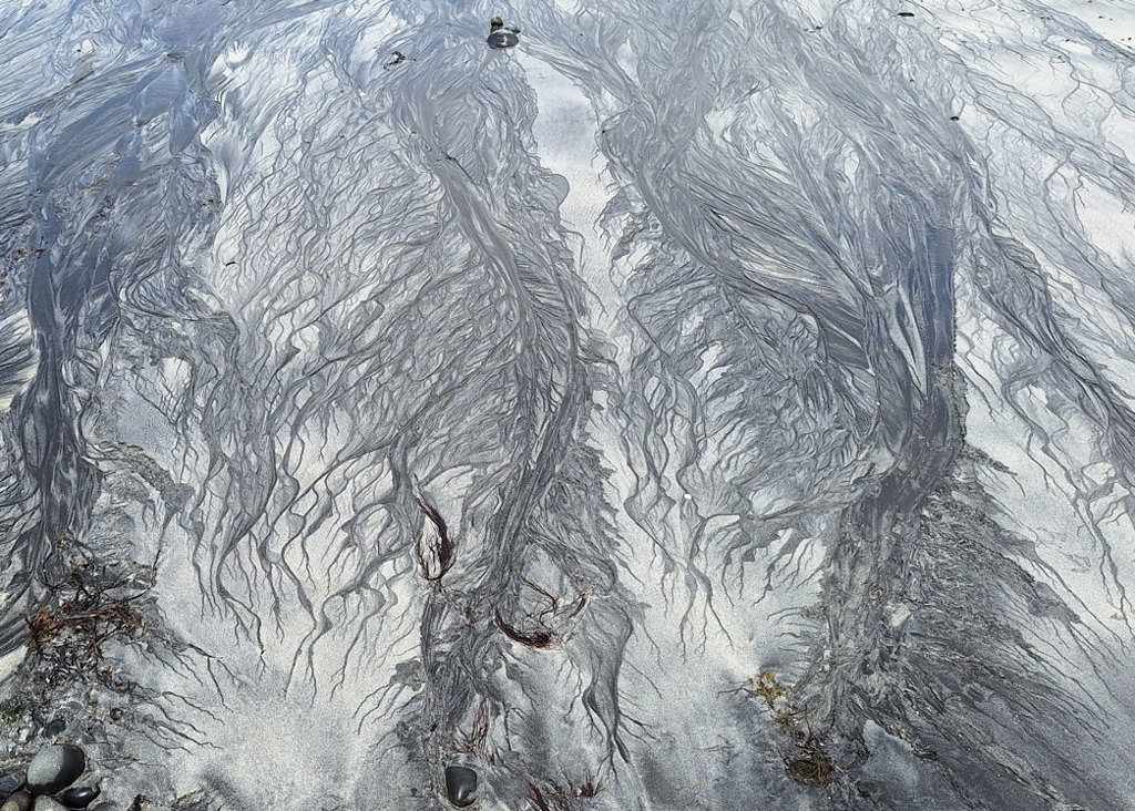 Tidal Shoreline thumbnail