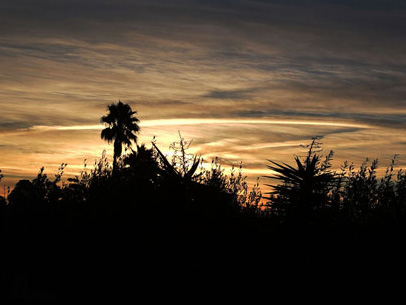 Circular Clouds at Sunrise