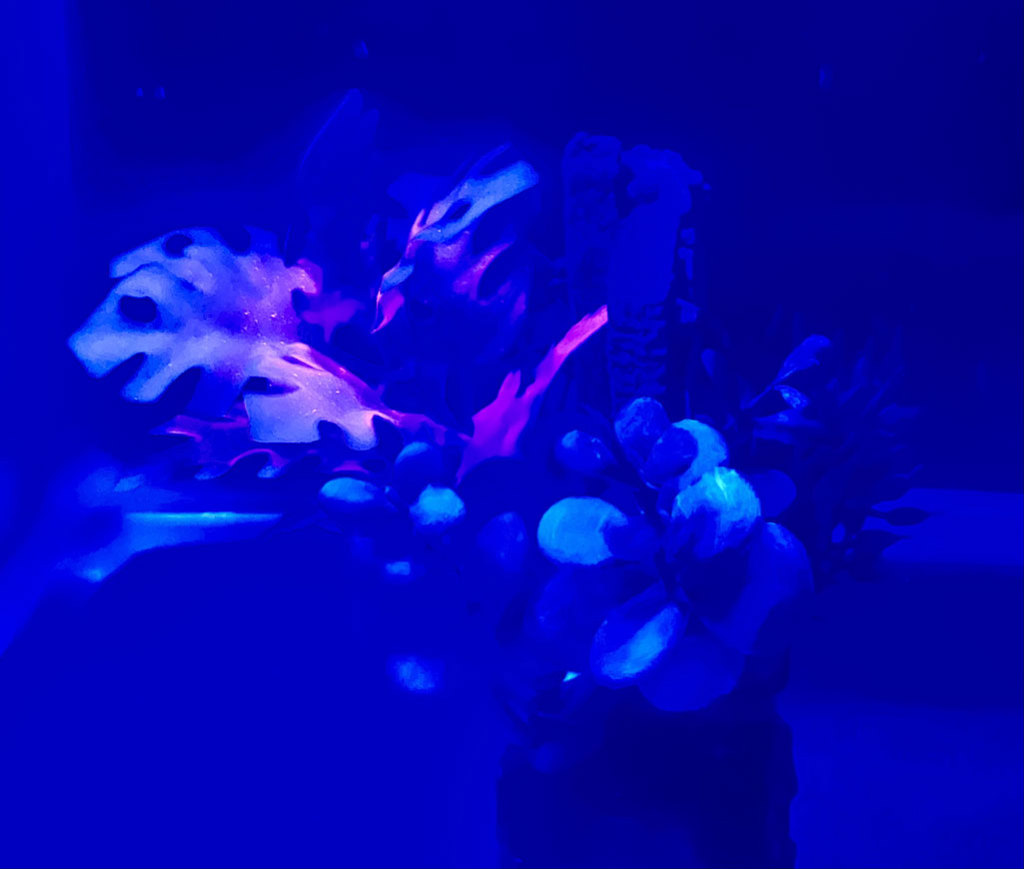 Underwater Glow  thumbnail